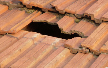 roof repair Tiptoe, Hampshire
